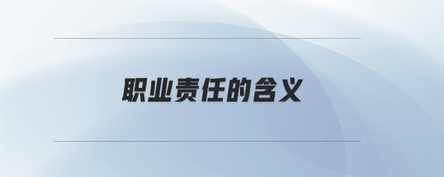 職業(yè)責(zé)任的含義 職業(yè)責(zé)任的含義