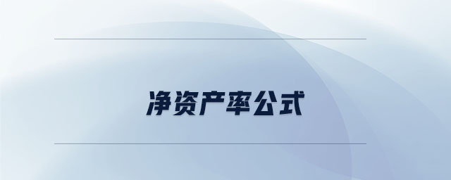 凈資產(chǎn)率公式 凈資產(chǎn)率公式