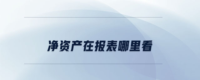 凈資產在報表哪里看 凈資產在報表哪里看