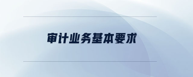 審計業(yè)務(wù)基本要求