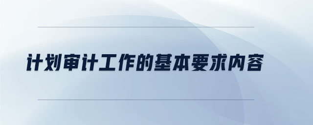 計劃審計工作的基本要求內(nèi)容
