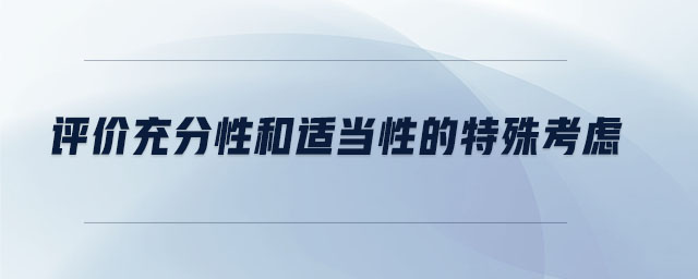 評(píng)價(jià)充分性和適當(dāng)性的特殊考慮