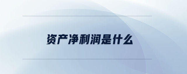 資產(chǎn)凈利潤是什么 資產(chǎn)凈利潤是什么