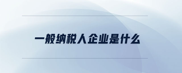 一般納稅人企業(yè)是什么 一般納稅人企業(yè)是什么