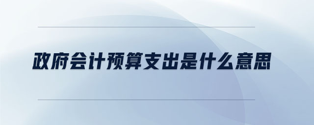 政府會計預(yù)算支出是什么意思 政府會計預(yù)算支出是什么意思