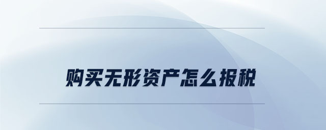 購買無形資產怎么報稅 購買無形資產怎么報稅