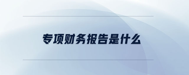專項財務報告是什么