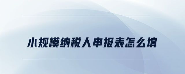 小規(guī)模納稅人申報表怎么填