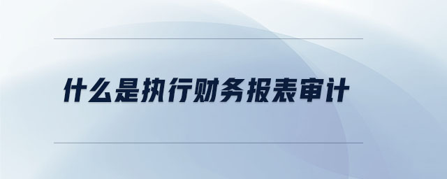 什么是執(zhí)行財(cái)務(wù)報(bào)表審計(jì) 什么是執(zhí)行財(cái)務(wù)報(bào)表審計(jì)