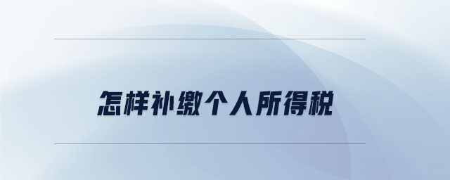 怎樣補(bǔ)繳個(gè)人所得稅
