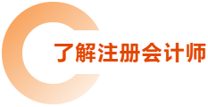 了解注冊會計師