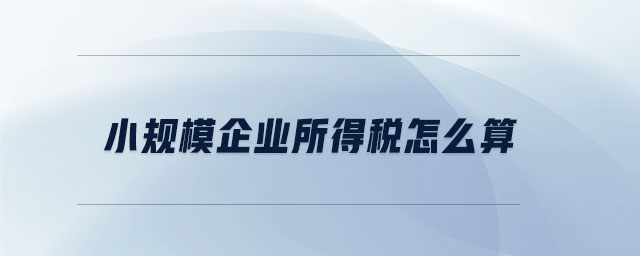 小規(guī)模企業(yè)所得稅怎么算 小規(guī)模企業(yè)所得稅怎么算
