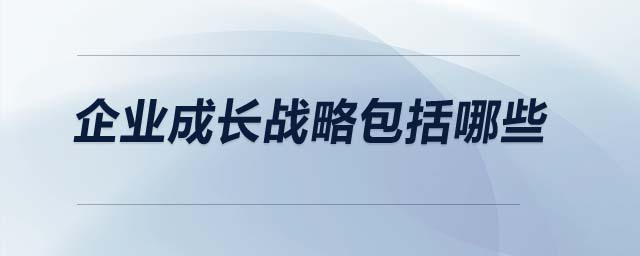 企業(yè)成長(zhǎng)戰(zhàn)略包括哪些