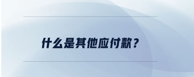 什么是其他應(yīng)付款？