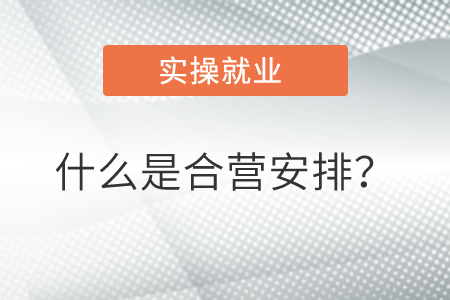 什么是合營安排？