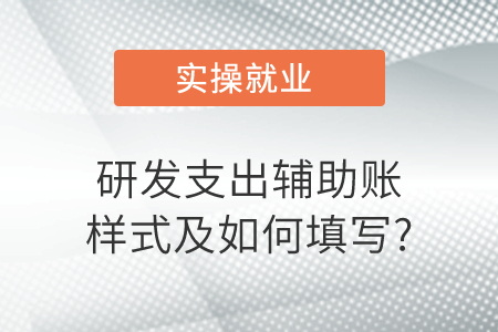研發(fā)支出輔助賬樣式及如何填寫? 研發(fā)支出輔助賬樣式及如何填寫?