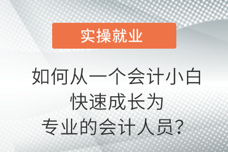 如何在獨立的情況下從一個會計小白快速成長為專業(yè)的會計人員？