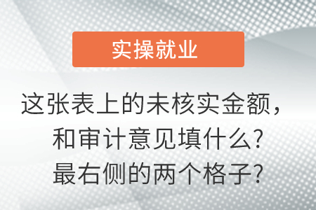 這張表上的未核實金額，和審計意見填什么?最右側(cè)的兩個格子?