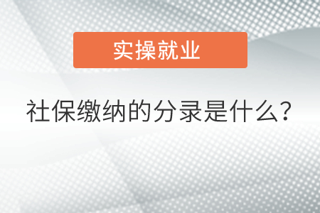 實(shí)操配圖1 實(shí)操配圖1