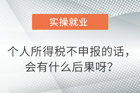 個人所得稅不申報的話，會有什么后果呀？