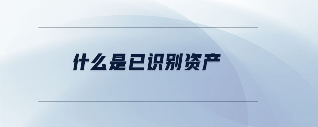 什么是已識別資產(chǎn) 什么是已識別資產(chǎn)
