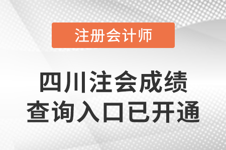 2022年四川省涼山注冊會(huì)計(jì)師成績查詢?nèi)肟谝验_通！快來查分！