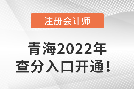 青海省海東2022年注冊(cè)會(huì)計(jì)師成績(jī)查詢?nèi)肟陂_通啦！