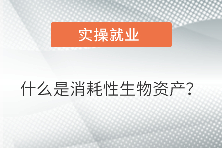 什么是消耗性生物資產(chǎn)？