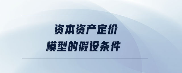 資本資產(chǎn)定價模型的假設(shè)條件
