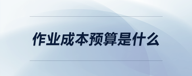 作業(yè)成本預(yù)算是什么 作業(yè)成本預(yù)算是什么