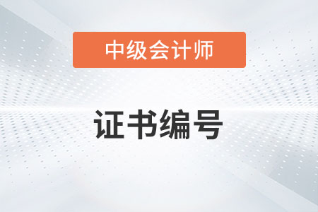 中級會計證書編號怎么查你知道嗎？