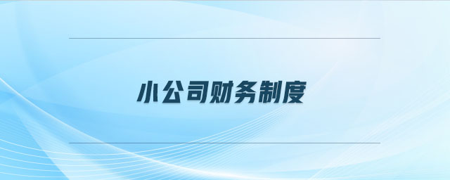 小公司財務制度 小公司財務制度