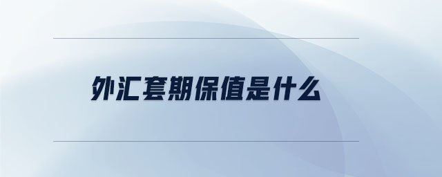 外匯套期保值是什么