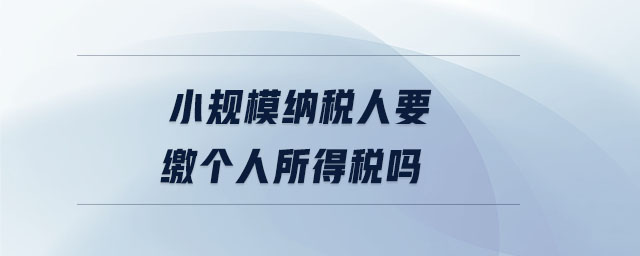 小規(guī)模納稅人要繳個人所得稅嗎 小規(guī)模納稅人要繳個人所得稅嗎