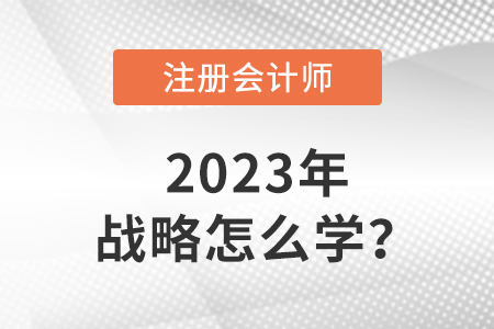 注冊會(huì)計(jì)師戰(zhàn)略2023年怎么學(xué)？