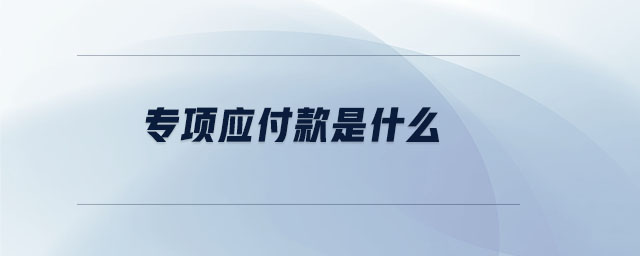 專項應(yīng)付款是什么 專項應(yīng)付款是什么