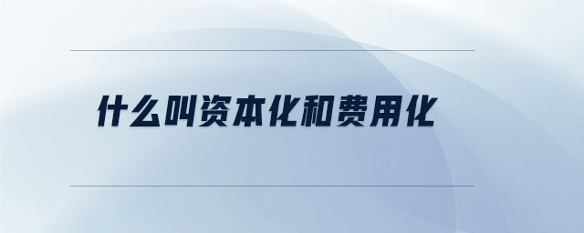 什么叫資本化和費用化 什么叫資本化和費用化
