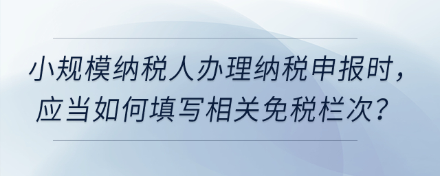 小規(guī)模納稅人在辦理增值稅納稅申報時，應當如何填寫相關免稅欄次？
