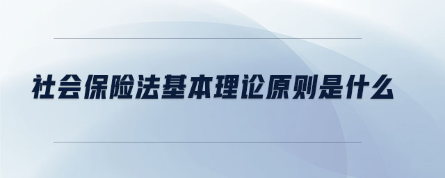 社會保險法基本理論原則是什么 社會保險法基本理論原則是什么
