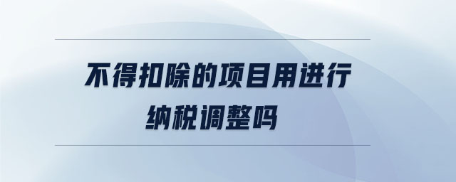 不得扣除的項目用進行納稅調(diào)整嗎 不得扣除的項目用進行納稅調(diào)整嗎