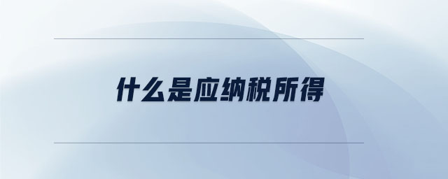 什么是應納稅所得 什么是應納稅所得