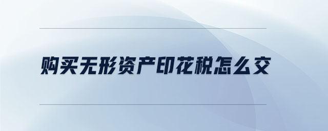 購買無形資產(chǎn)印花稅怎么交