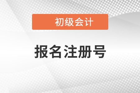 初級(jí)會(huì)計(jì)報(bào)名注冊(cè)號(hào)是什么？有什么用？