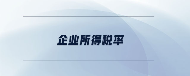 企業(yè)所得稅率 企業(yè)所得稅率