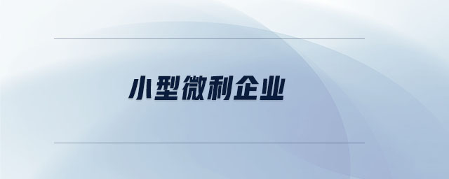 小型微利企業(yè) 小型微利企業(yè)