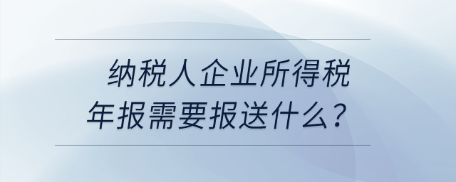 納稅人企業(yè)所得稅年報(bào)需要報(bào)送什么？