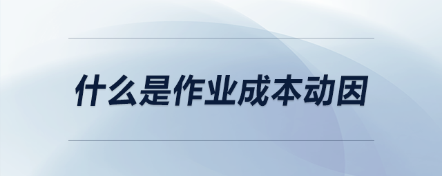 什么是作業(yè)成本動因 什么是作業(yè)成本動因