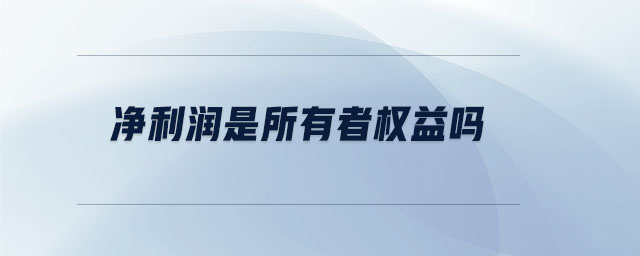 凈利潤是所有者權(quán)益嗎 凈利潤是所有者權(quán)益嗎