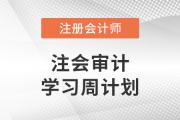 2023年注會審計(jì)基礎(chǔ)階段學(xué)習(xí)計(jì)劃！建議收藏！