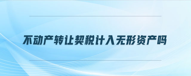 不動(dòng)產(chǎn)轉(zhuǎn)讓契稅計(jì)入無(wú)形資產(chǎn)嗎